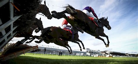 Punchestown .